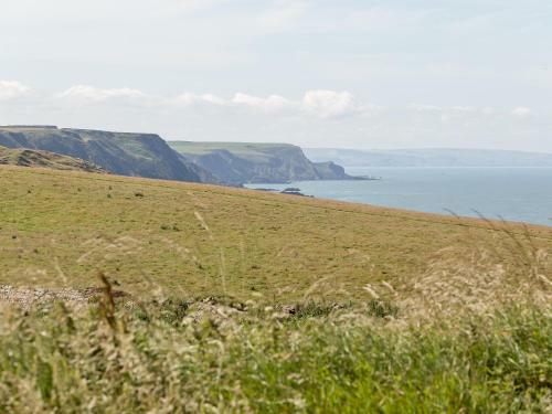 Orchard Cottage, Hartland