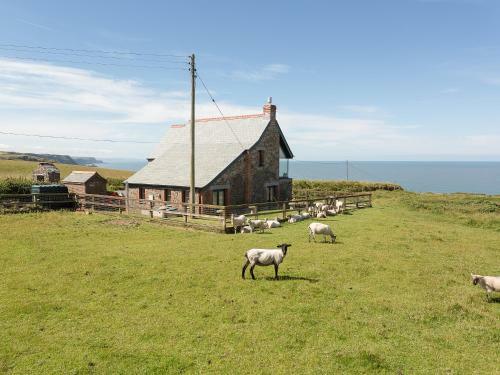 Orchard Cottage, Hartland
