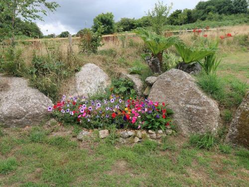 Constance, Bodmin