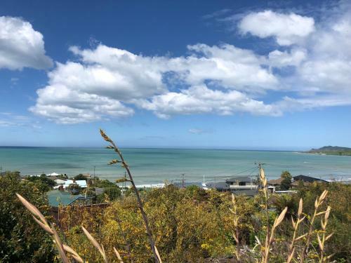 Nugget View Kaka Point Motels