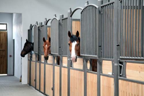 Hotel Sport Complex Trakiets