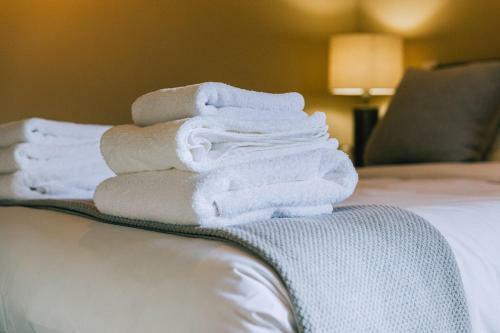 Bed & Breakfast The Pointer