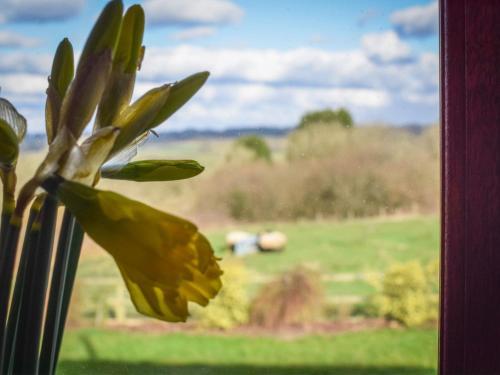 Holiday Home Hedfanfa