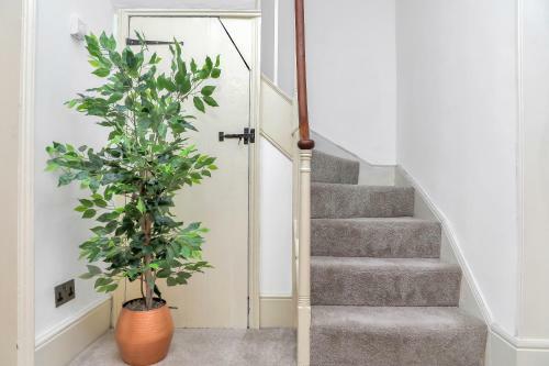 Hostal St Alphege, Canterbury - Fmp