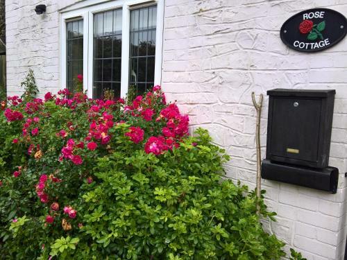 Rose Cottage, Chard