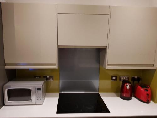 Vetrelax Chelmsford Gemini Apartment