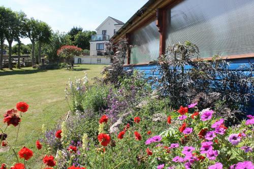 Bed & Breakfast Homelea B & B & Self Catering