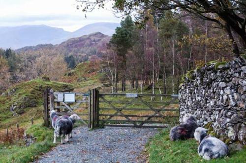 Holmthwaite