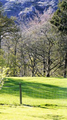 Shepherds Bridge B&B