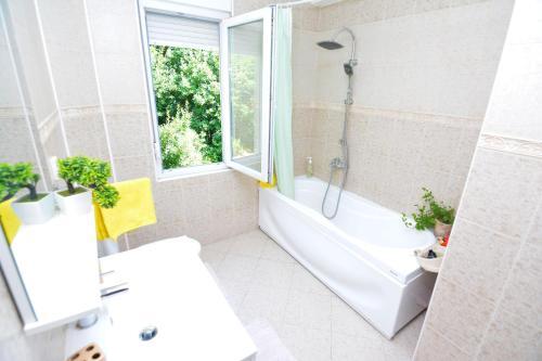 Apartment Ivani?evi? 2