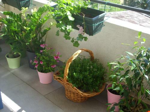 Apartments Dakovic