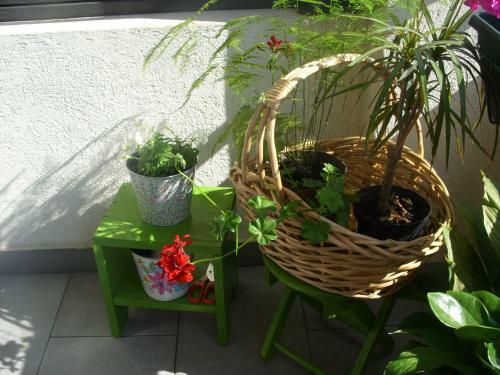 Apartments Dakovic