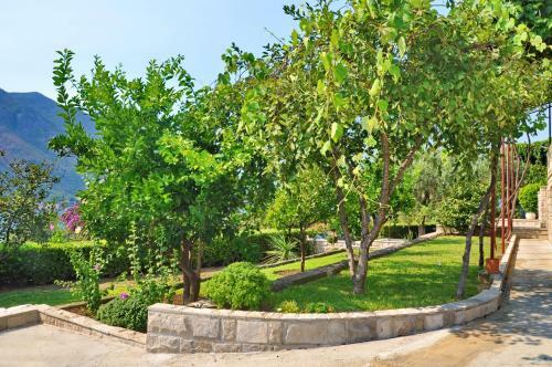 Apartmani Cetkovic