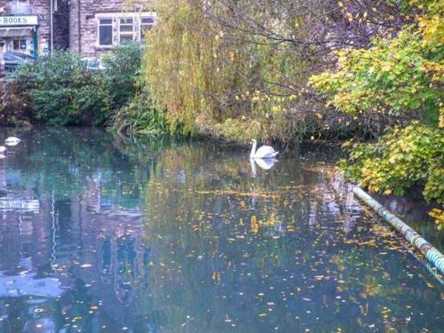 Smithy Cottage On The Mill Pond