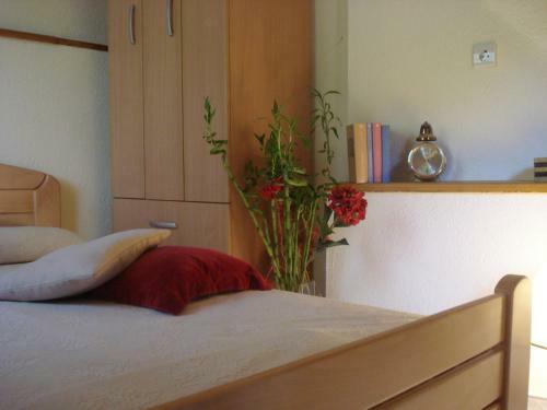 Hostal Guest House Tomcuk