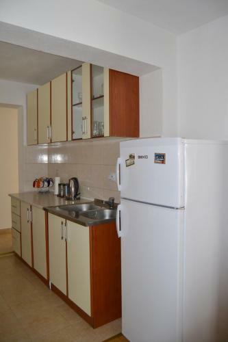 Apartments Dobri?a