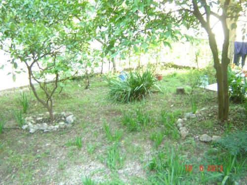 Apartments Dobri?a