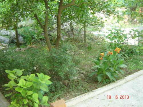 Apartments Dobri?a