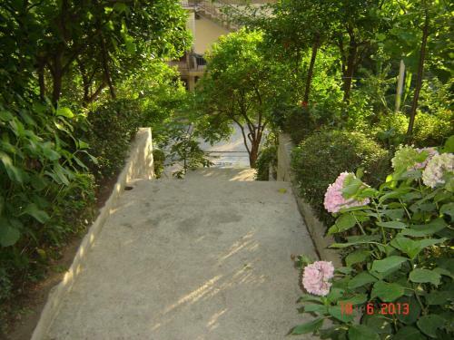 Apartments Dobri?a