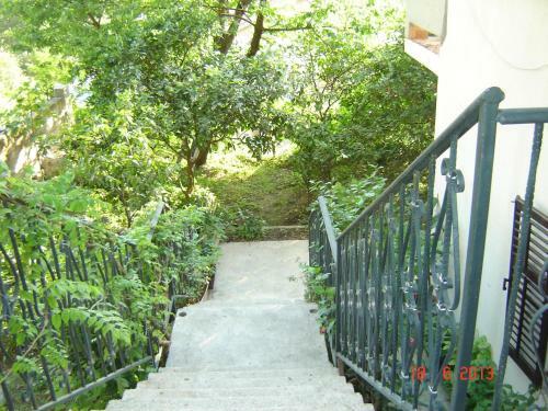 Apartments Dobri?a