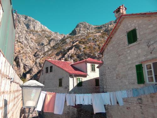 Hostal Guest House Forza Lux
