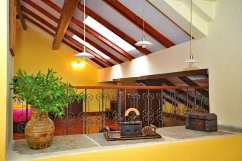 Hostal Guest House Forza Lux
