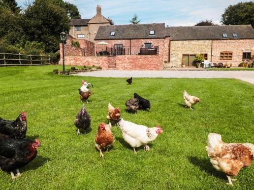 Manor Barn, Stoke-on-trent