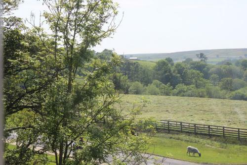 Hostal Fairhaven Country Guest House
