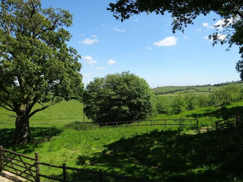 Swallows Reach, Halwell