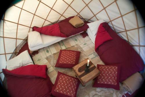 Festival Yurts Hay-on-wye