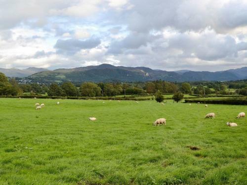 Lake View Shepherds Hut