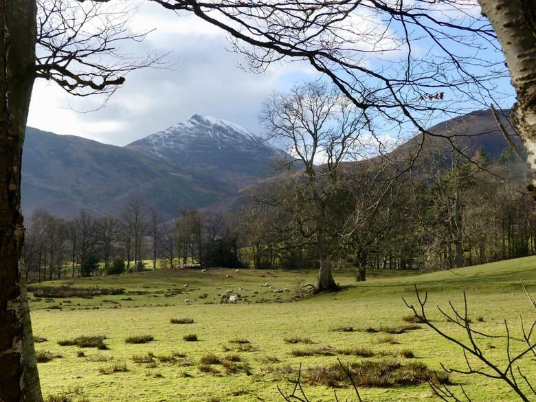 Bed & Breakfast Rickerby Grange