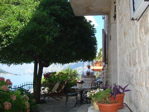 Apartamentos Villa Zvicer