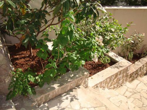 Apartamentos Villa Zvicer