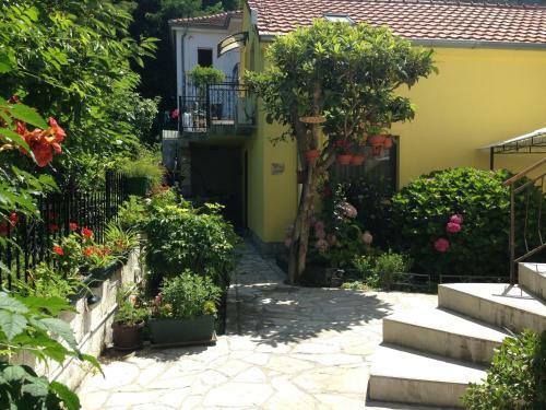 Apartments Matkovic