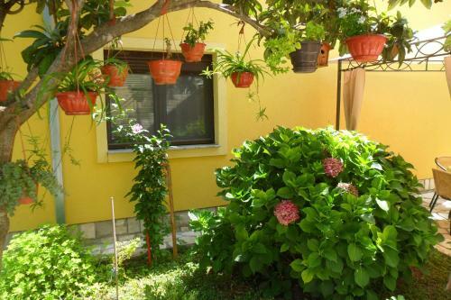 Apartments Matkovic
