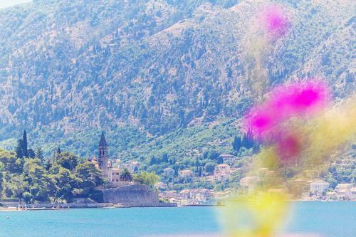 Hostal Villa Donkovi?