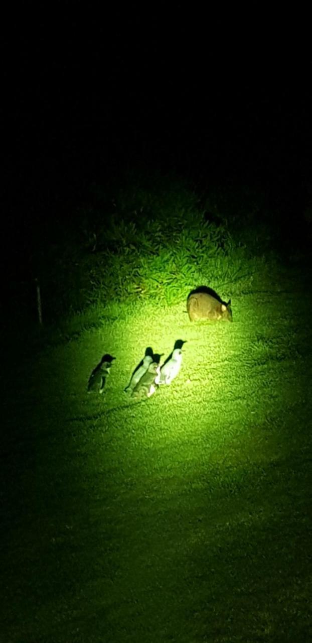 Hotel Diamond Island Resort