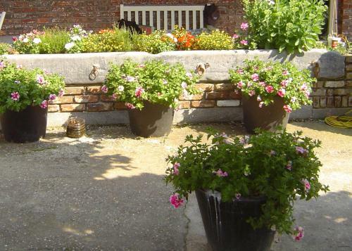 B&B Cherryfarm