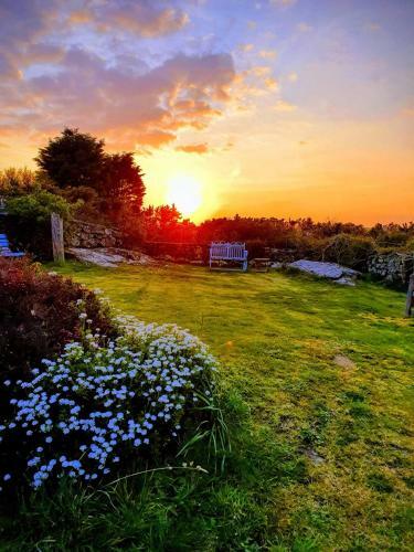 Tyn Llain B&B