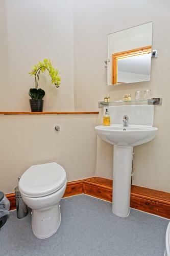Bed & Breakfast The Ynysmeudwy Arms