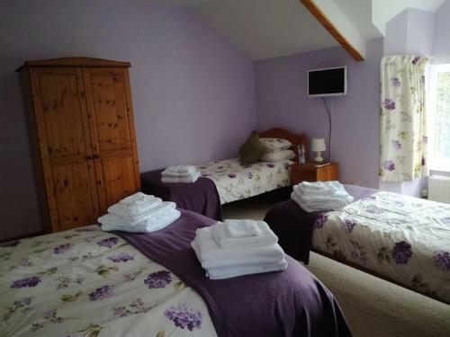 Bed & Breakfast Ty Newydd