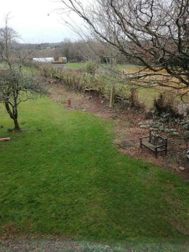 Bed & Breakfast Ty Newydd