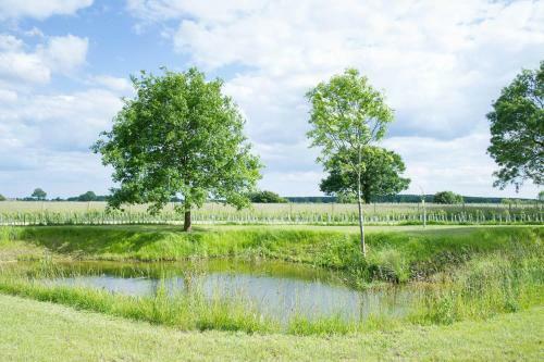 High Ash Farm Cottages