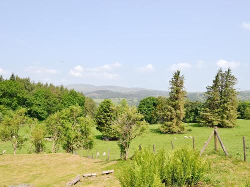 Cae Cynddelw