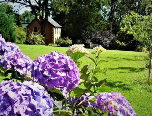 Ffynnon Fendigaid Bed And Breakfast