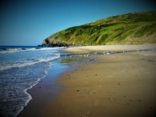 Ffynnon Fendigaid Bed And Breakfast