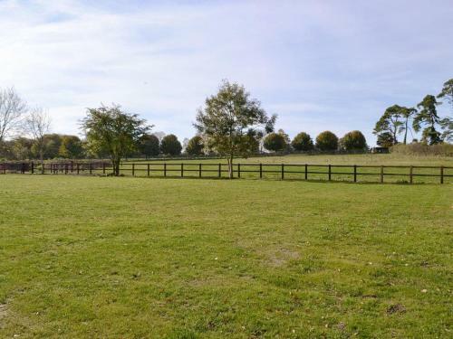 Bull Pen