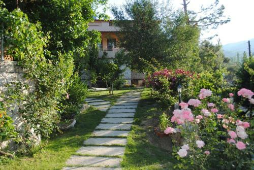 Hotel Kleo Cottages