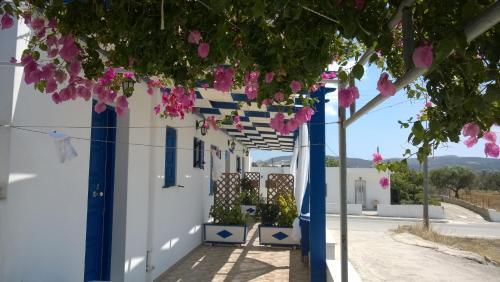 Apartamento Stolidi